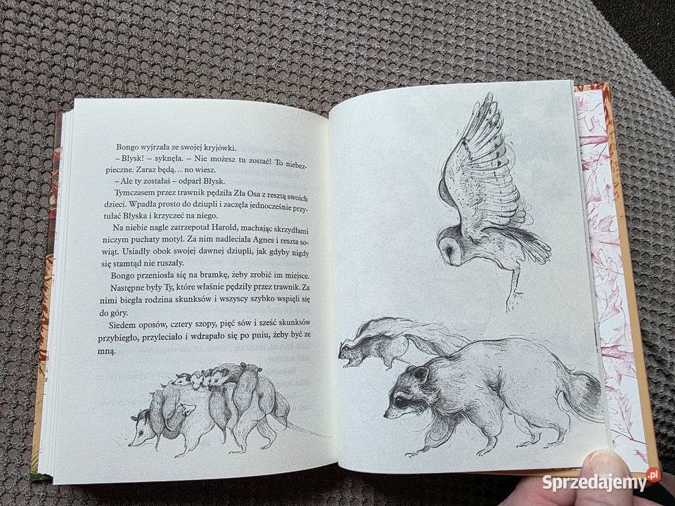 nowa Drzewo życzeń Katherine Applegate Rok wydania 2018