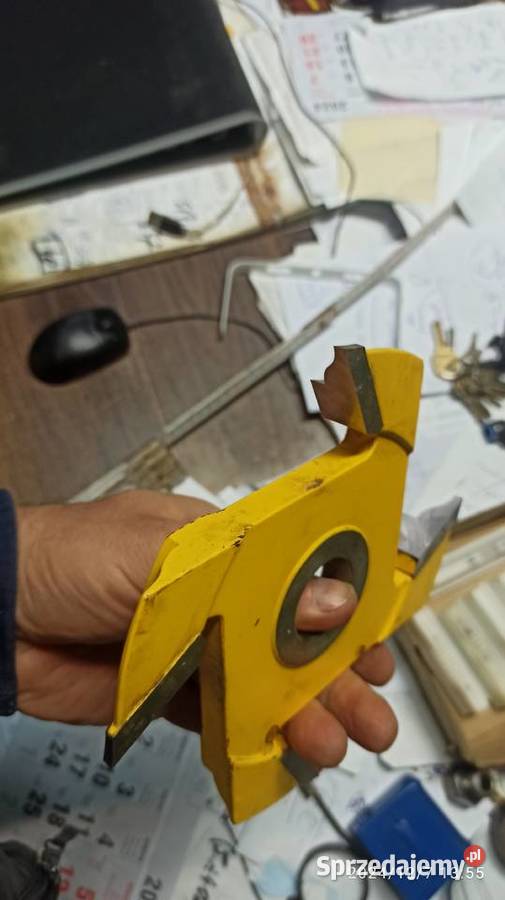 frez kształtowy ze wzorem faba baboszewo hss Kłodawa