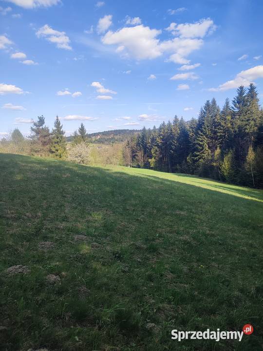 Sprzedam gospodarstwo z domem Sprzedaż Siary