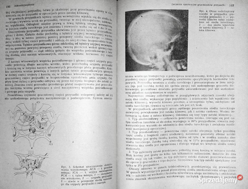 Endokrynologia kliniczna Tom 1 Walenty Hartwig Pozostałe Książki i Podręczniki Chełm
