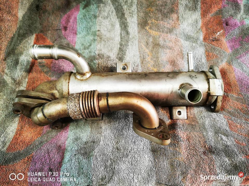 Chłodniczka Egr 19 TDI Audi Seat VW Skoda Jaworzno