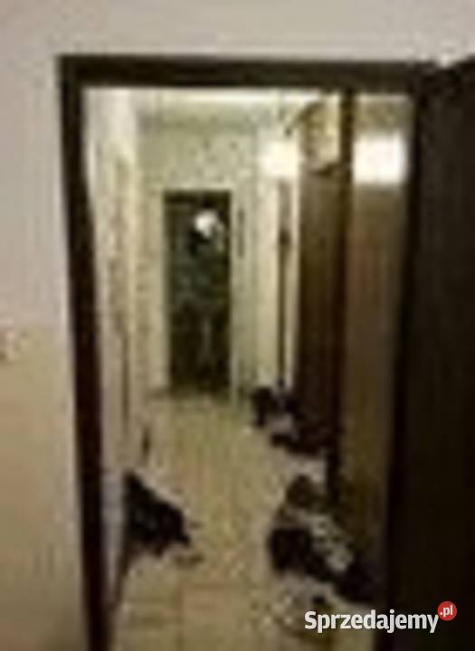 2pok 57met HoeneWrońskiego BALKONPIWNICA Wrocław