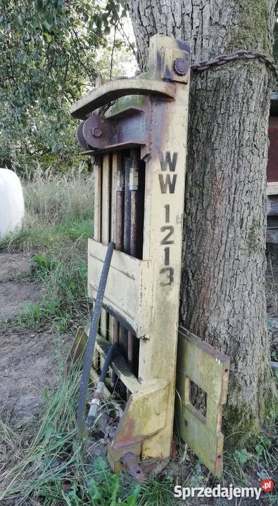 Maszt widlaka Borowa sprzedam