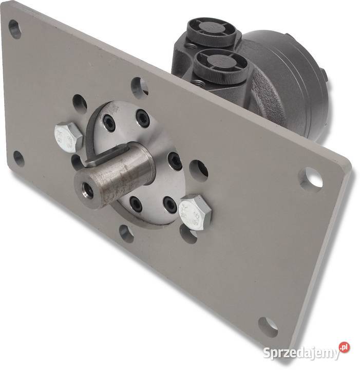 SILNIK Hydrauliczny 100 3 GR2 Mocowanie Kołnierz Hydraulika Solec Kujawski