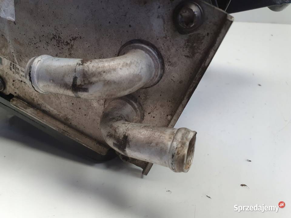 Seat Leon II 14 TSI KOLEKTOR SSĄCY 03C129711AD osobowe Rudka