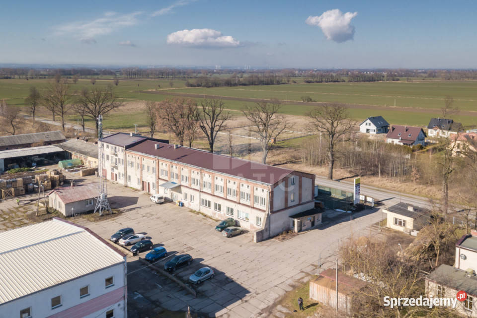 wynajmu lokalu 3000m2 Cedry Wielkie M