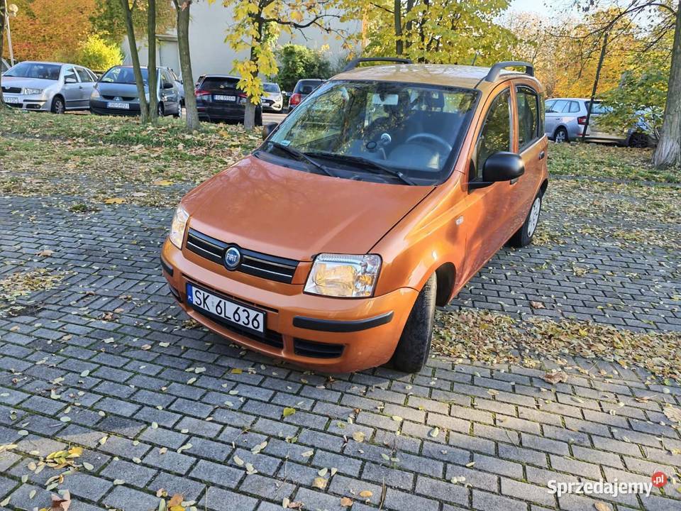 Panda oszczędny i zdrowy Golf Sosnowiec