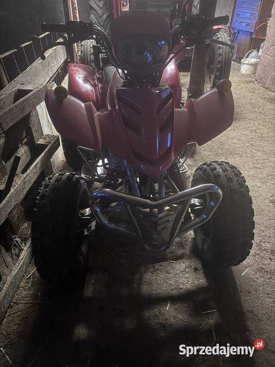 Quad 200 bashan Niwnice