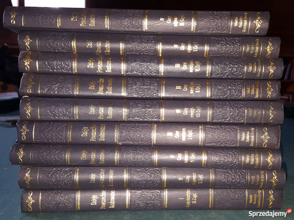 Książki 9 tomów Dzieje Powszechne Ilustrowane śląskie Świętochłowice sprzedam