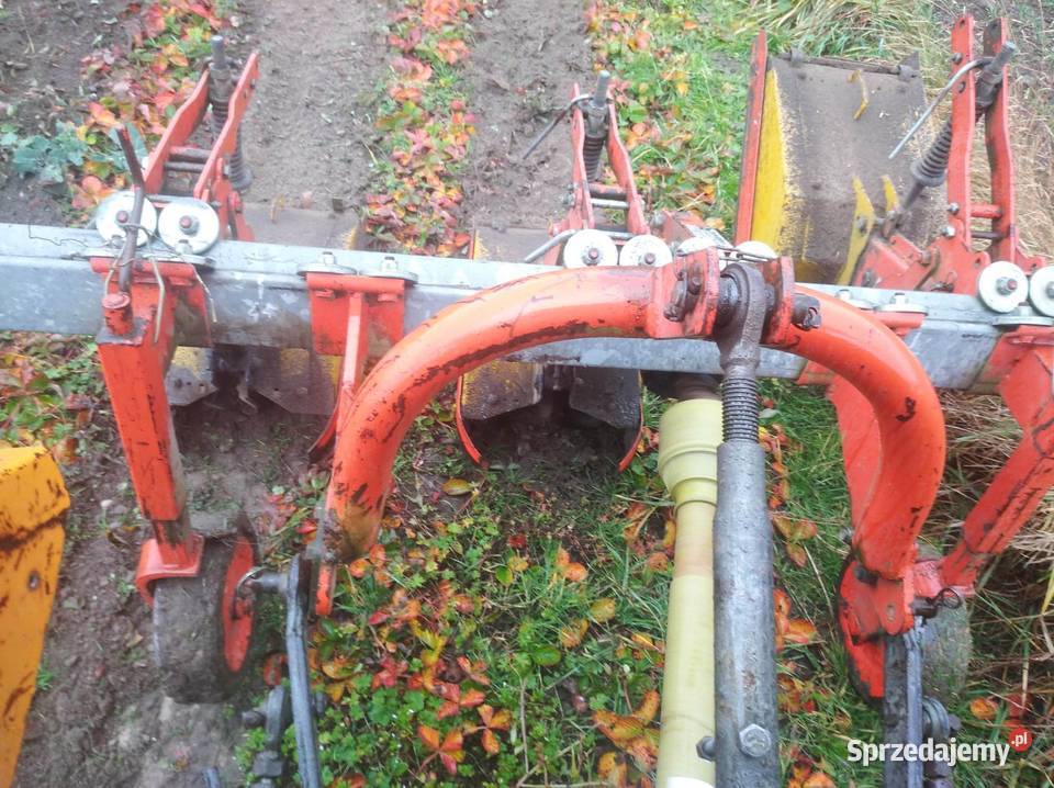 Glebogryzarka do truskawek BREVIGLIERI MBE