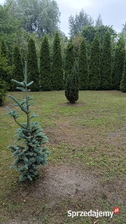 Działka Rekreacyjna kujawsko-pomorskie Grudziądz