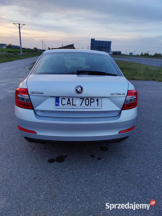 Skoda Octavia III 16 TDI 2013r kujawsko-pomorskie Aleksandrów Kujawski