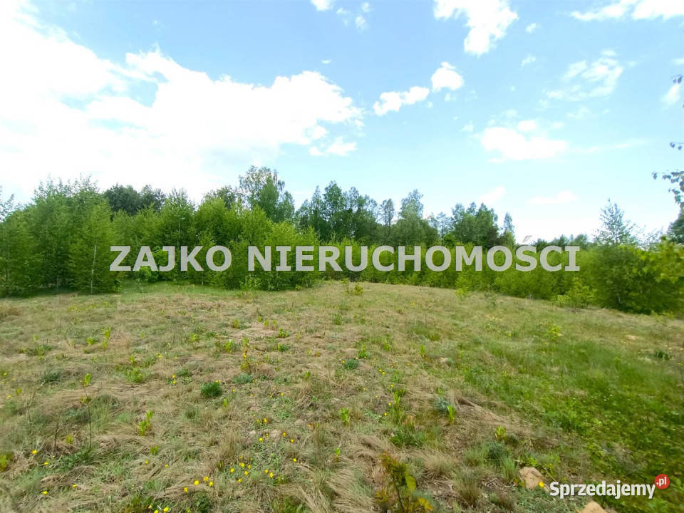 Grunt 3000m2 Zelwa 3000m2 Sprzedaż