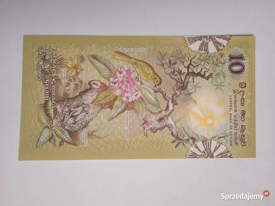 Cejlon P 85a sprzedam