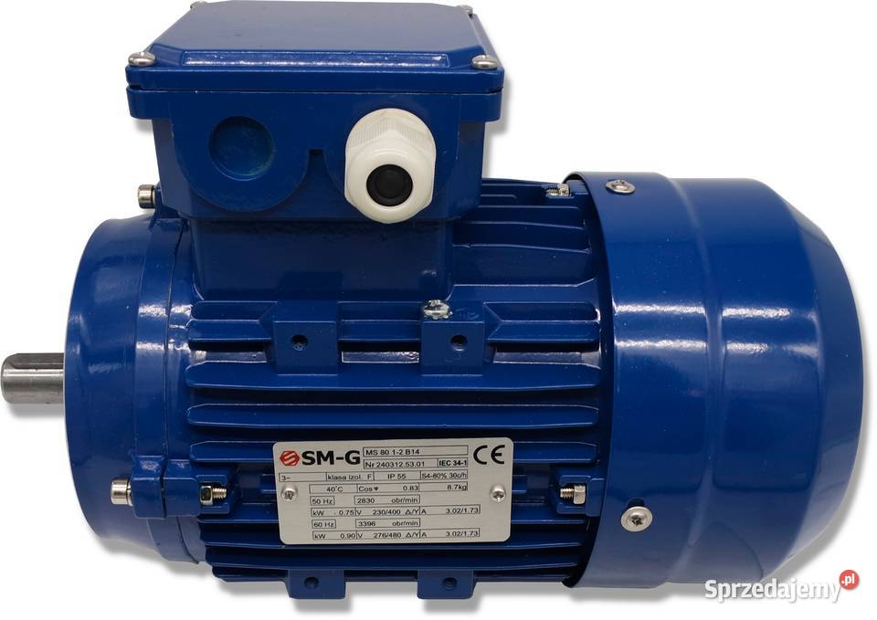 SILNIK ELEKTRYCZNY 075kW 230400V 2830 Obr Solec Kujawski