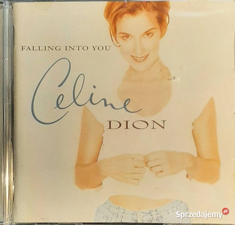Wspaniały Album CD CELINE DION A Day Has Come CD śląskie Chorzów