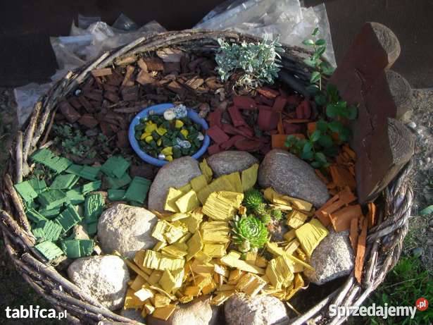 Kora KolorowaWiórki Dekoracyjne Dom i Ogród świętokrzyskie Kołoniec