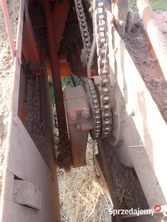 Prasa sipma z 224 Zabłudów