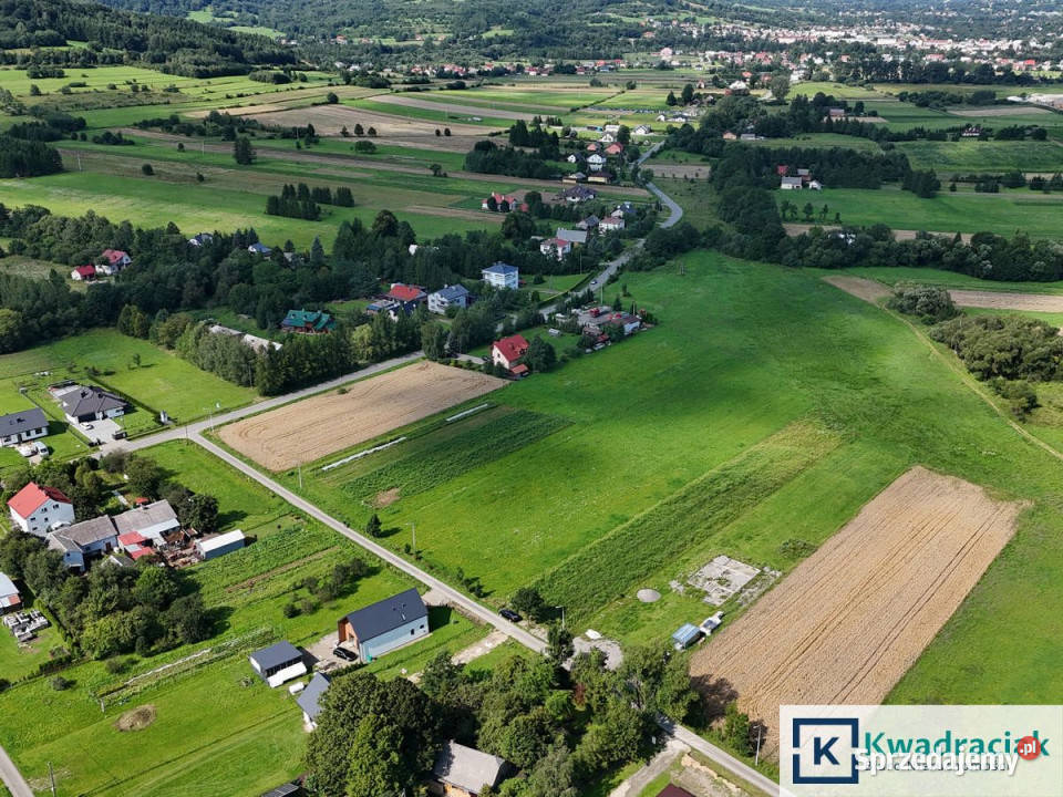 sprzedaży gruntu Cergowa 4842m2 160m Sprzedaż podkarpackie
