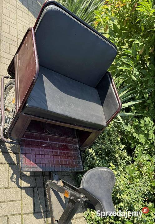 Riksza rower spalinowy silnik solex sprawny Sport i Wypoczynek Chełm