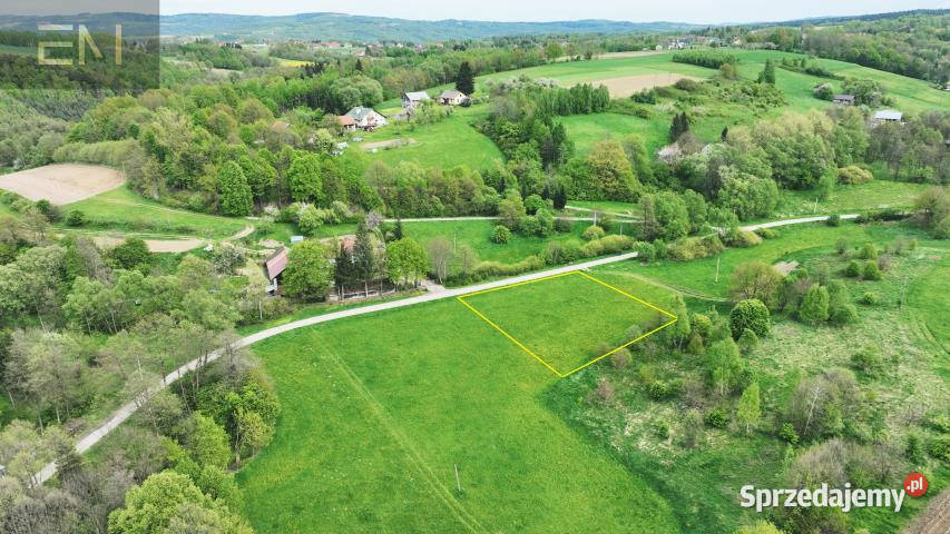 Ogłoszenie działka Brzeżanka 2000m2