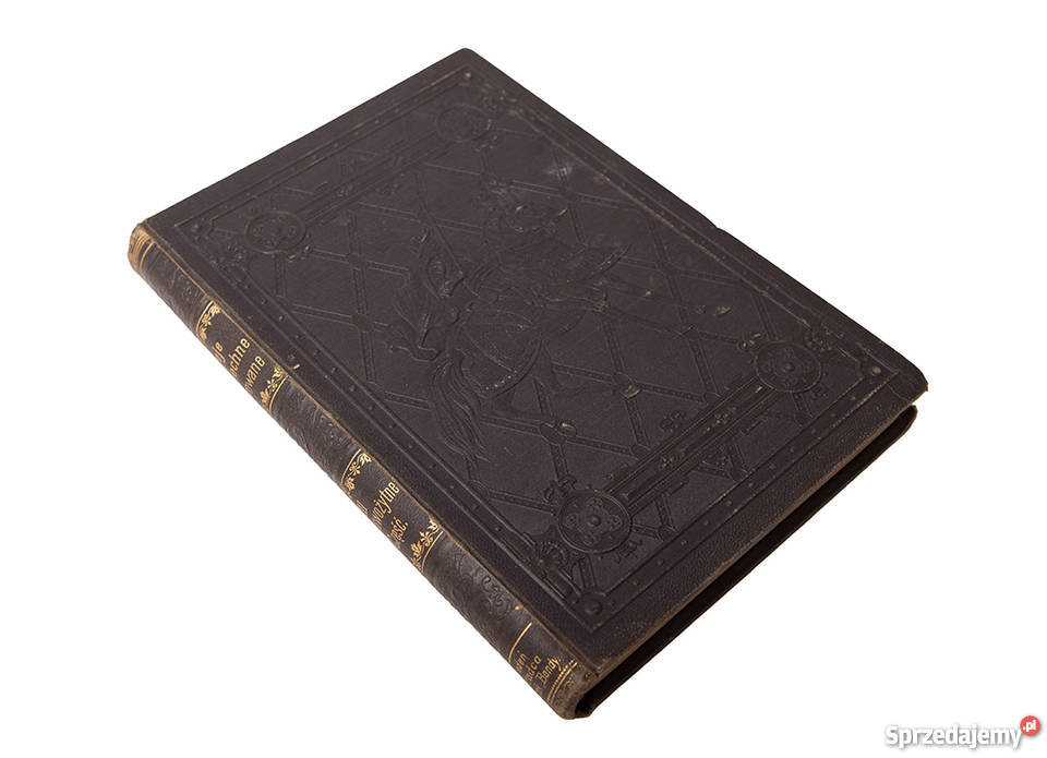 Dzieje Powszechne Ilustrowane Czasy nowożytne Książki naukowe i popularnonaukowe Poznań