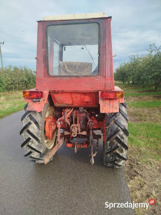 Władymirec t25 Kunów