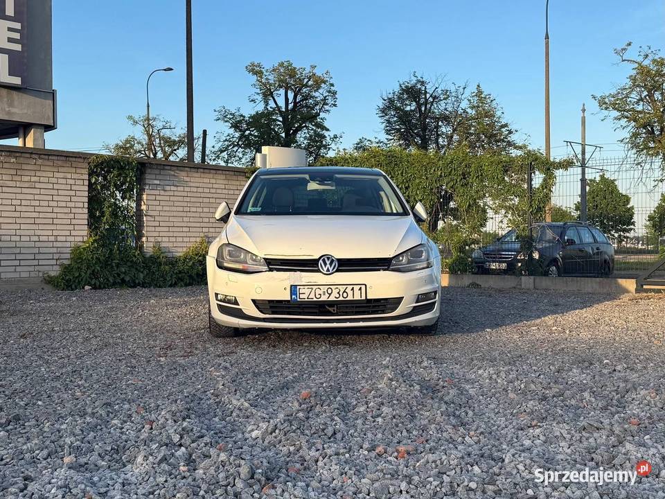Volkswagen Golf 2013 16 Diesel Manual Radar Warszawa