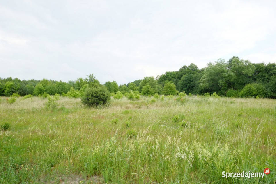 5 Działek na Sprzedaż Wólka Smolana 18243m2 mazowieckie