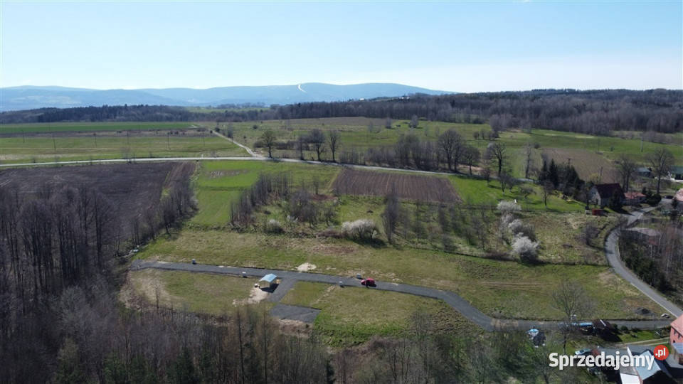 Piękna działka budowlana lesie w Złotnikach dolnośląskie Złotniki Lubańskie sprzedam