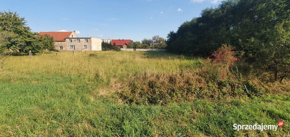 Domy parterowe w zabudowie szeregowej w Rogowie Sprzedaż Wrocław