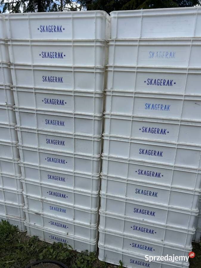 Skrzynie na rybyskagerak Kaniczki