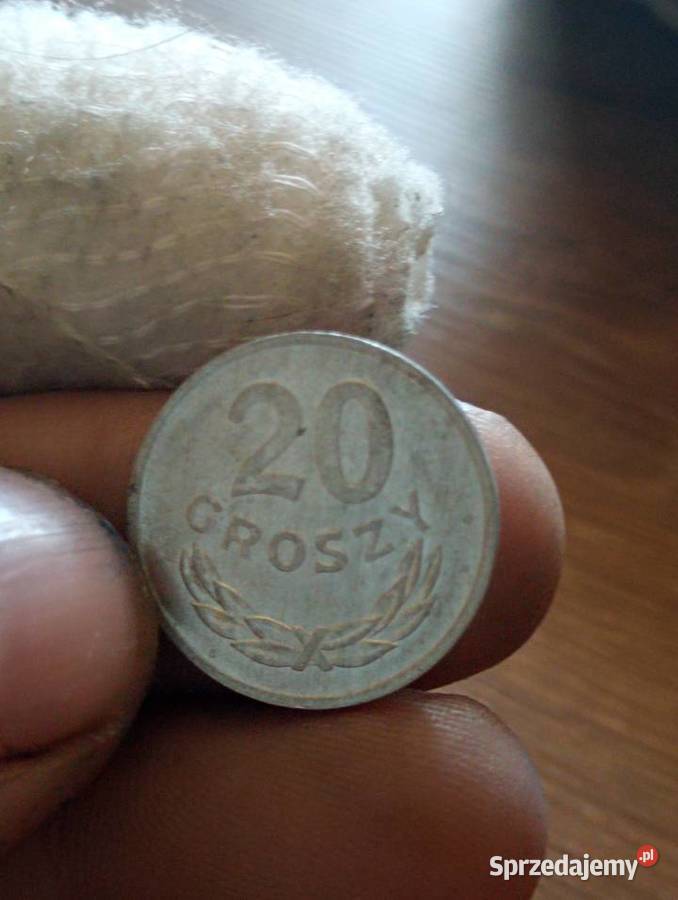 Sprzedam 20 gr 1981 r zzm Chełm