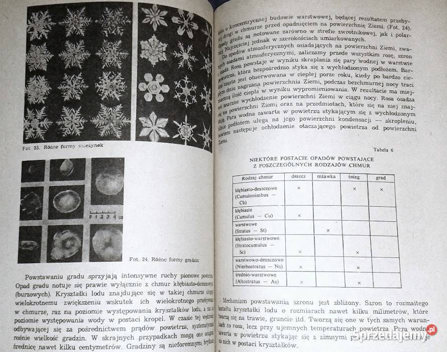 Wszystko o pogodzie Alojzy Woś sprzedam