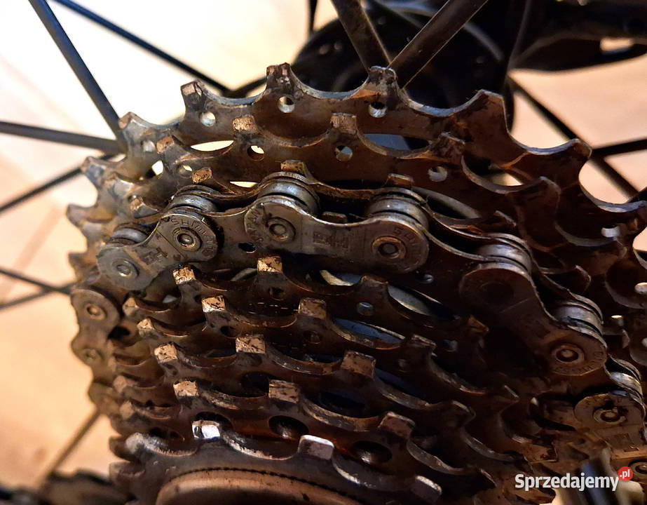 Rower szosowy Contoura Vuelta Koła 28 Shimano Zawiercie