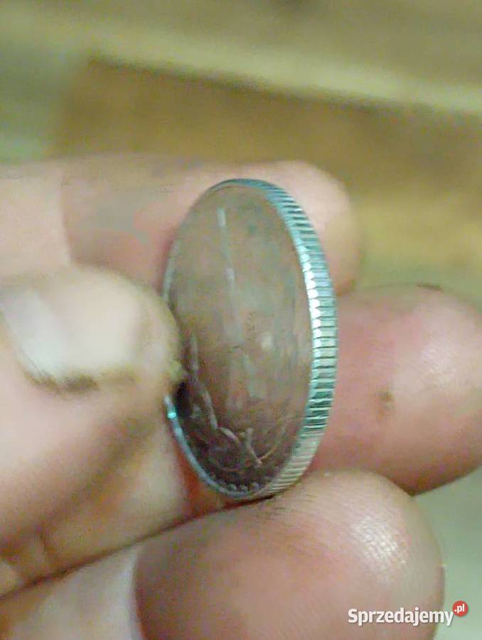 Sprzedam 1 zloty 1980 Chełm