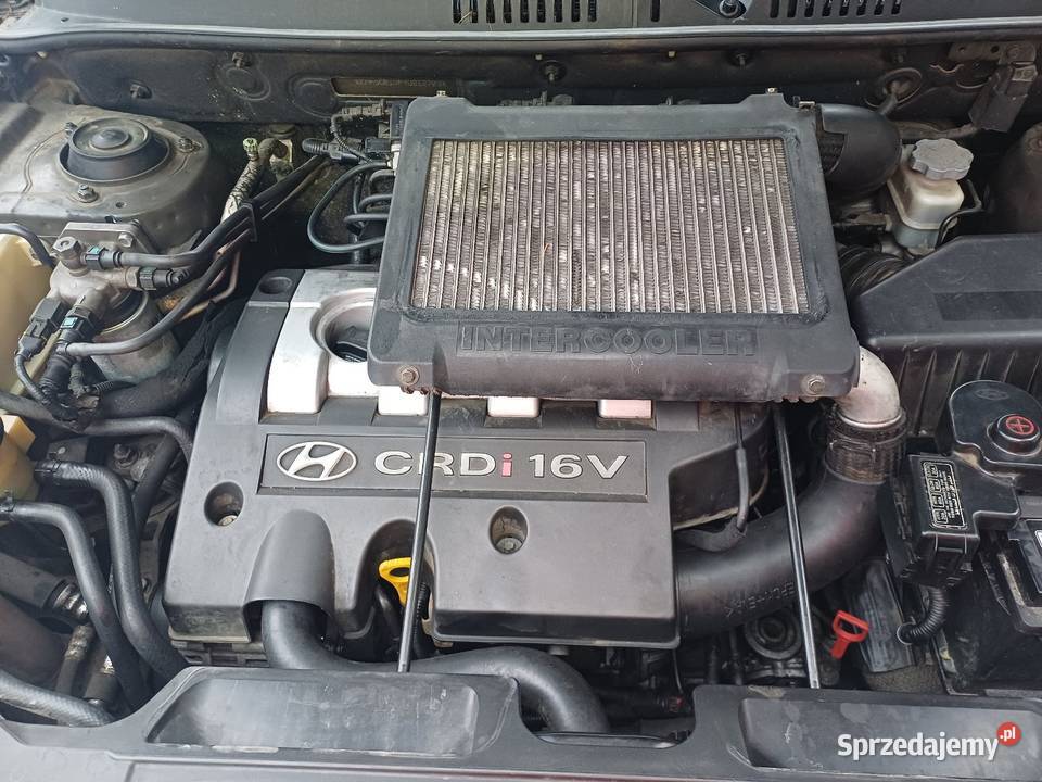 Hyundai Santa 20 crdi silnik kompletny Rok produkcji 2004 Nowy Tomyśl