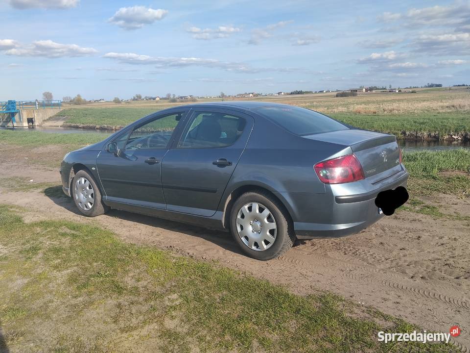 Peugeot 407 18 gaz Łęczyca