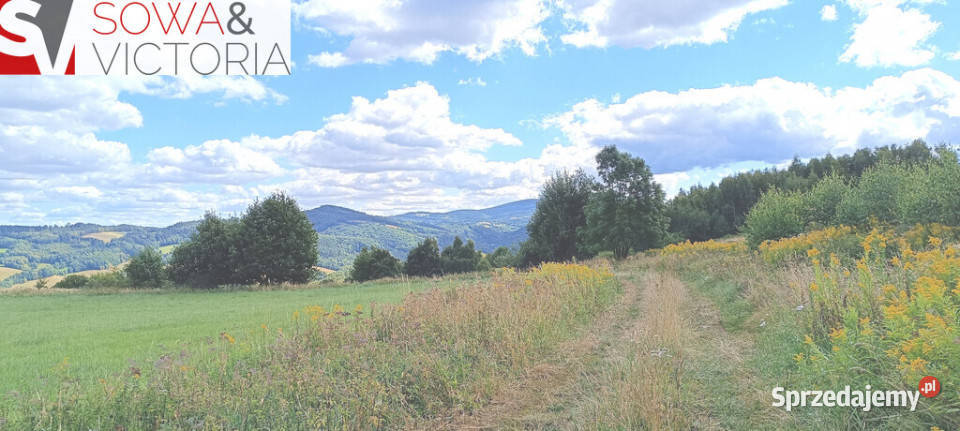 Widokowe słoneczne działki w Niedźwiedzicy Niedźwiedzica sprzedam