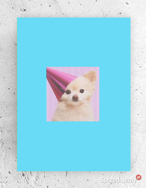 pies plakat A4 sprzedam