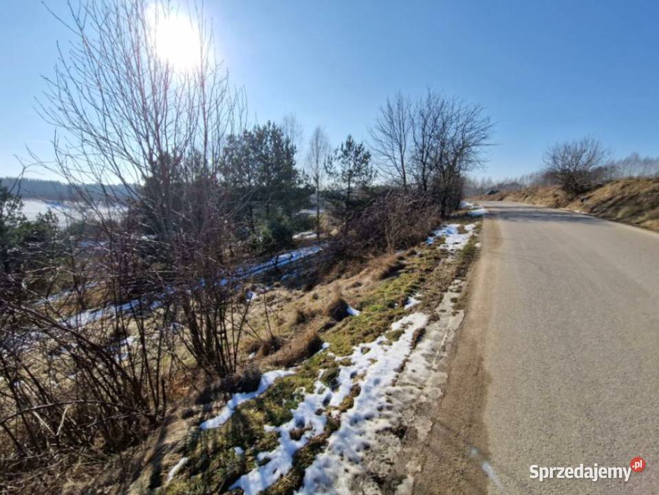 Syndyk sprzeda nieruchomość niezabudowaną Sikorzyno