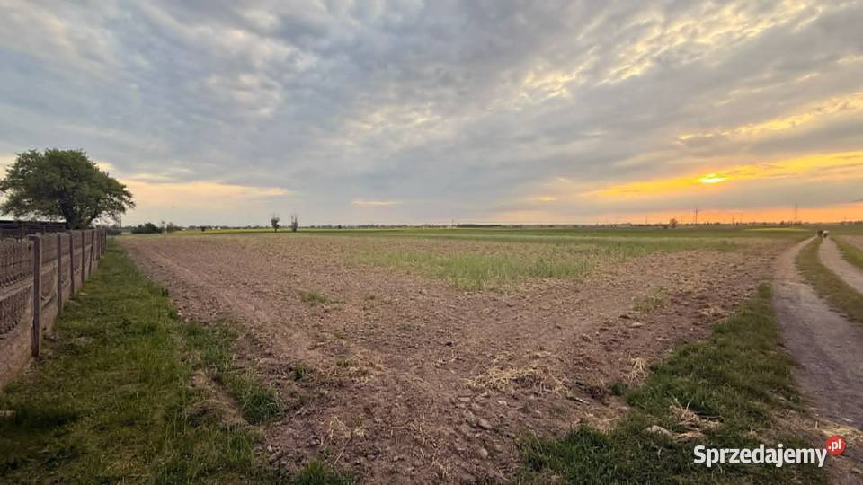 Działki budowlane na sprzedaż Kotunia gm Słupca sprzedam