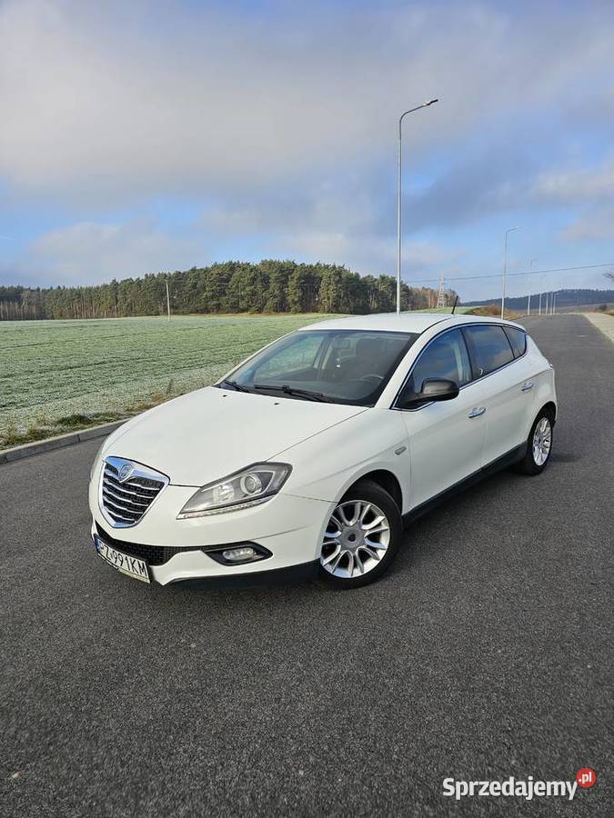 Lancia Delta Lancia delta 16 multijet 120 Polift Rok produkcji 2012 Delta lubuskie Sulęcin