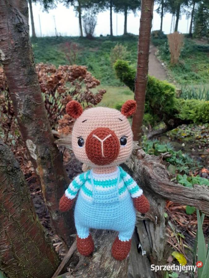 Kapibara na szydełku Nakło nad Notecią