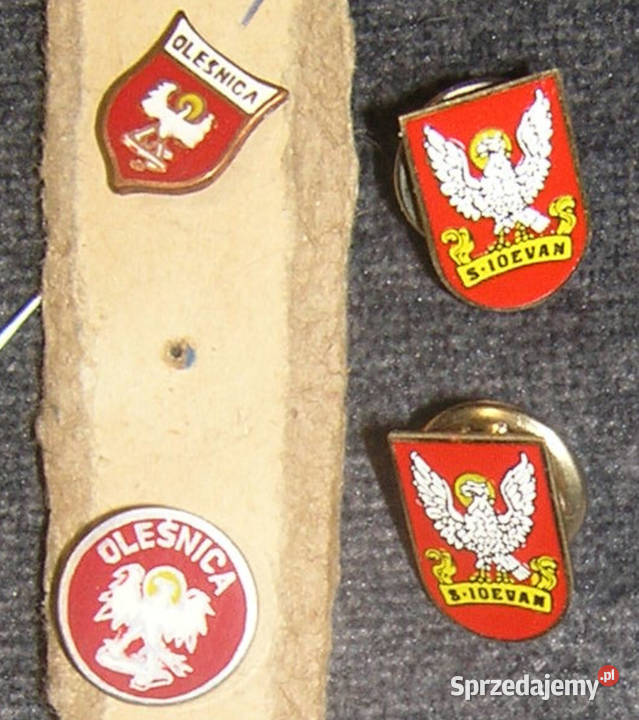 przypinka pinsa vintage herb miasta OleśnicaDd Bartków