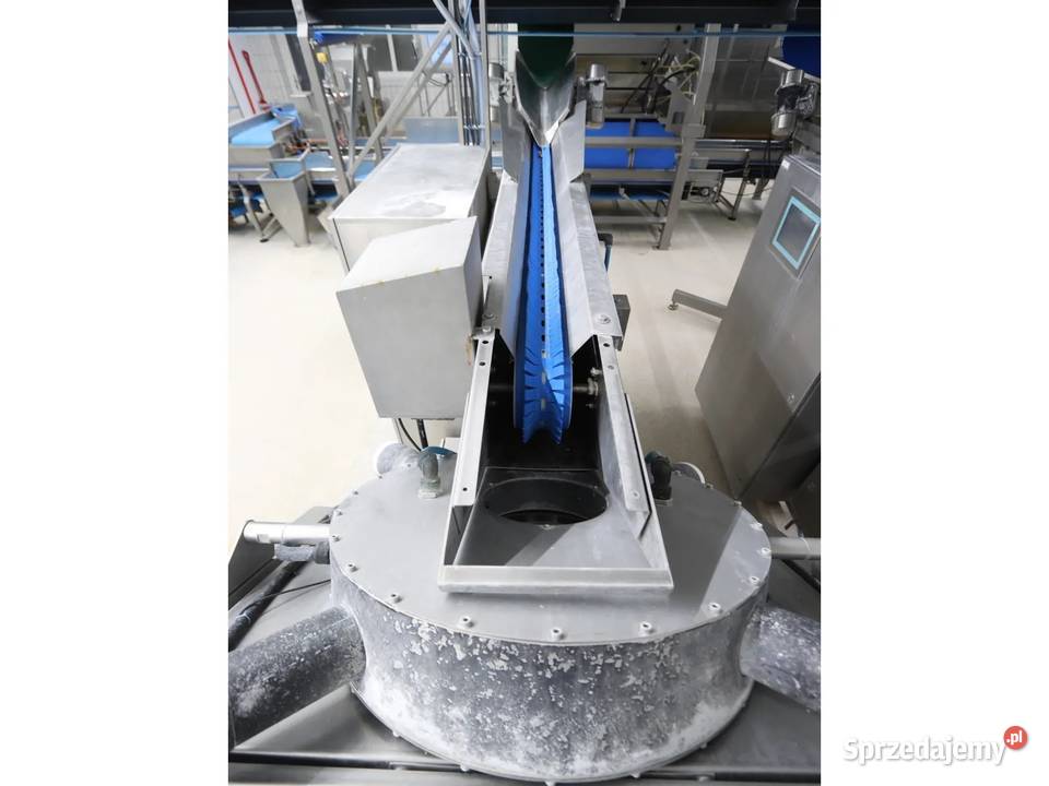 Select Agroselector 6T3M sortownik optyczny Krotoszyn