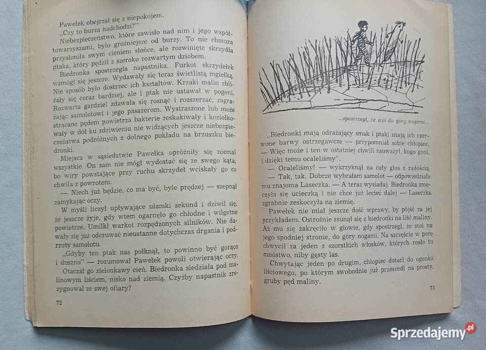 Hanna Zdzitowiecka Wśród niewidzialnych wrogów i Koźminek