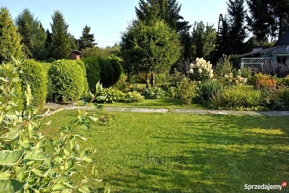 Działka pracownicza ROD Księży Młyn sprzedam