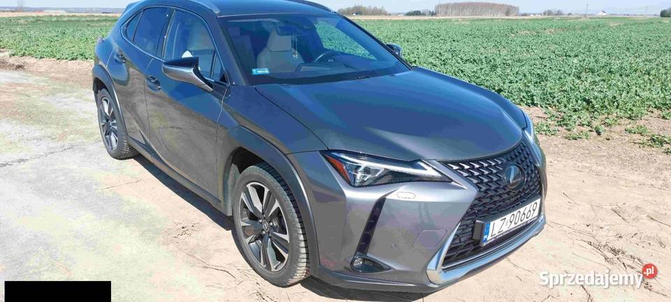Lexus UX200 20 benz 173 2019r salon Polska jeden UX Zamość