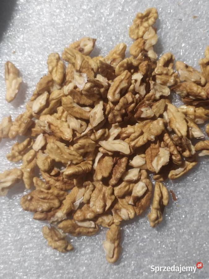 Orzech włoski łuskany ćwiartki 1 Pozostałe sprzedam